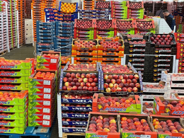 MIN de Rungis - Présentation de produits